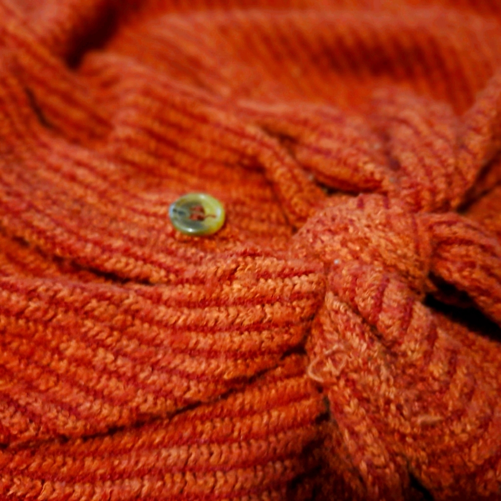 American Eagle Cardigan
